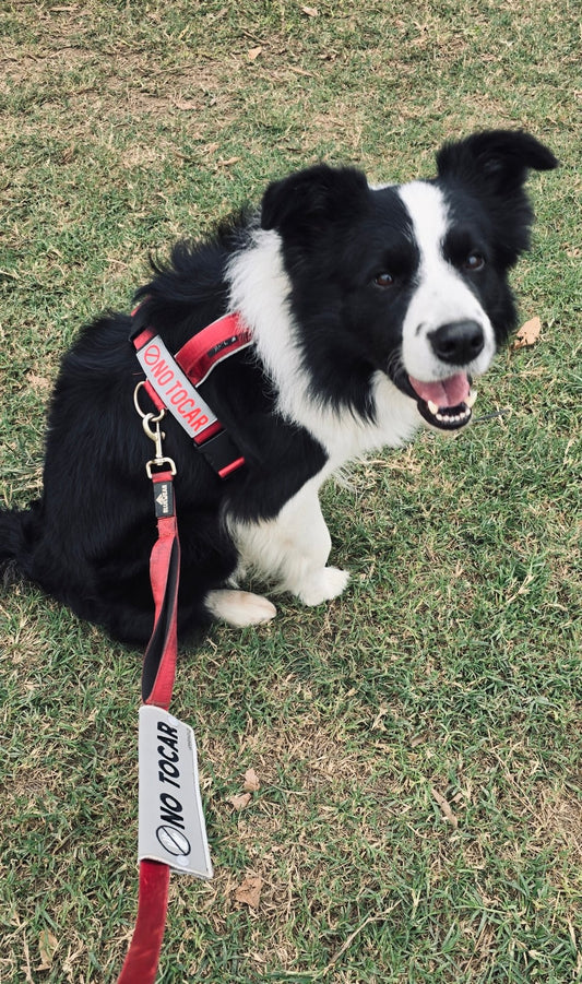 Manga personalizada para correa - Silver