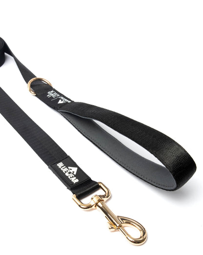 Correa clásica - Color Negro