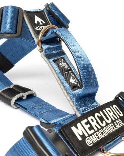 Arnés clásico - Azul acero