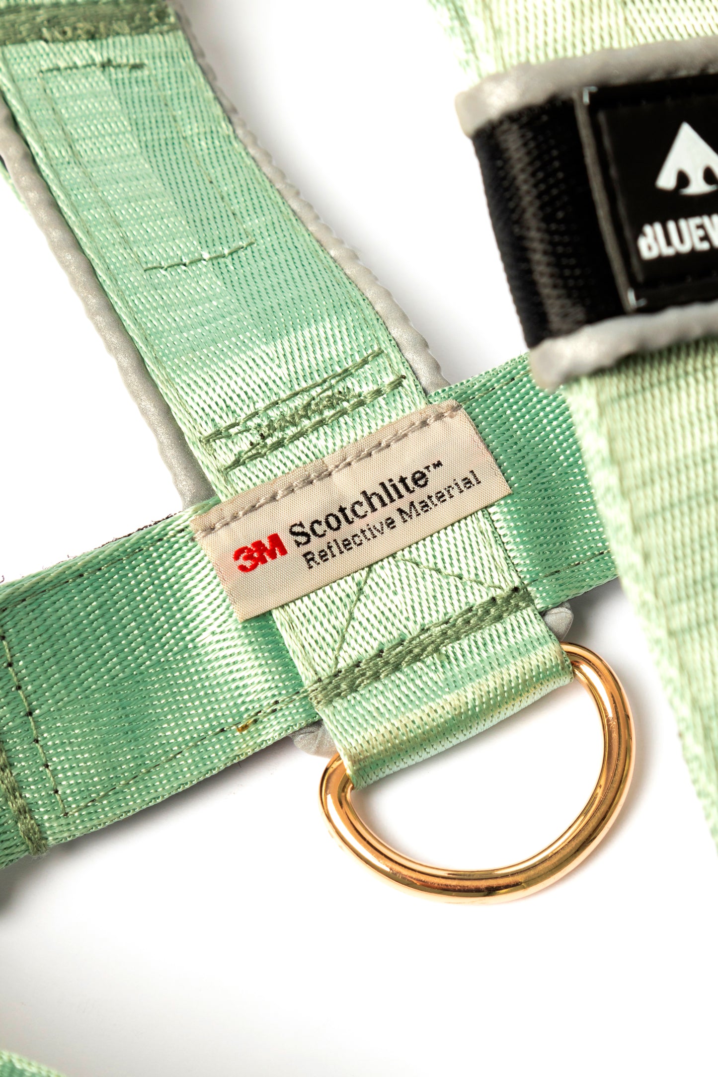 Arnés clásico - Menta