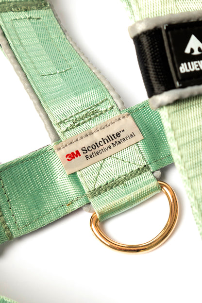 Arnés clásico - Menta