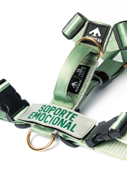Arnés clásico - Menta