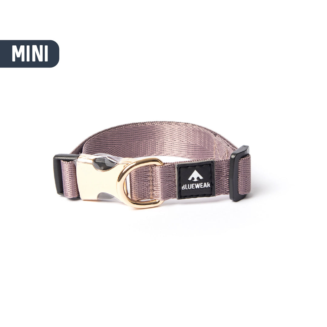 Collar light - Para perritos mini, toy o cachorros.