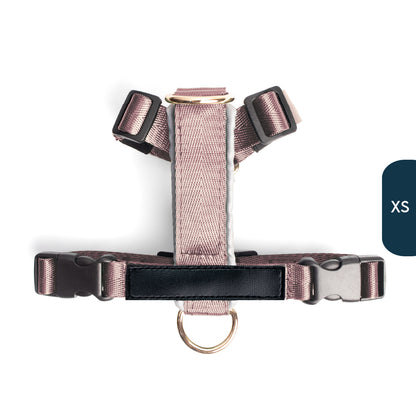 Arnés clásico - Lila