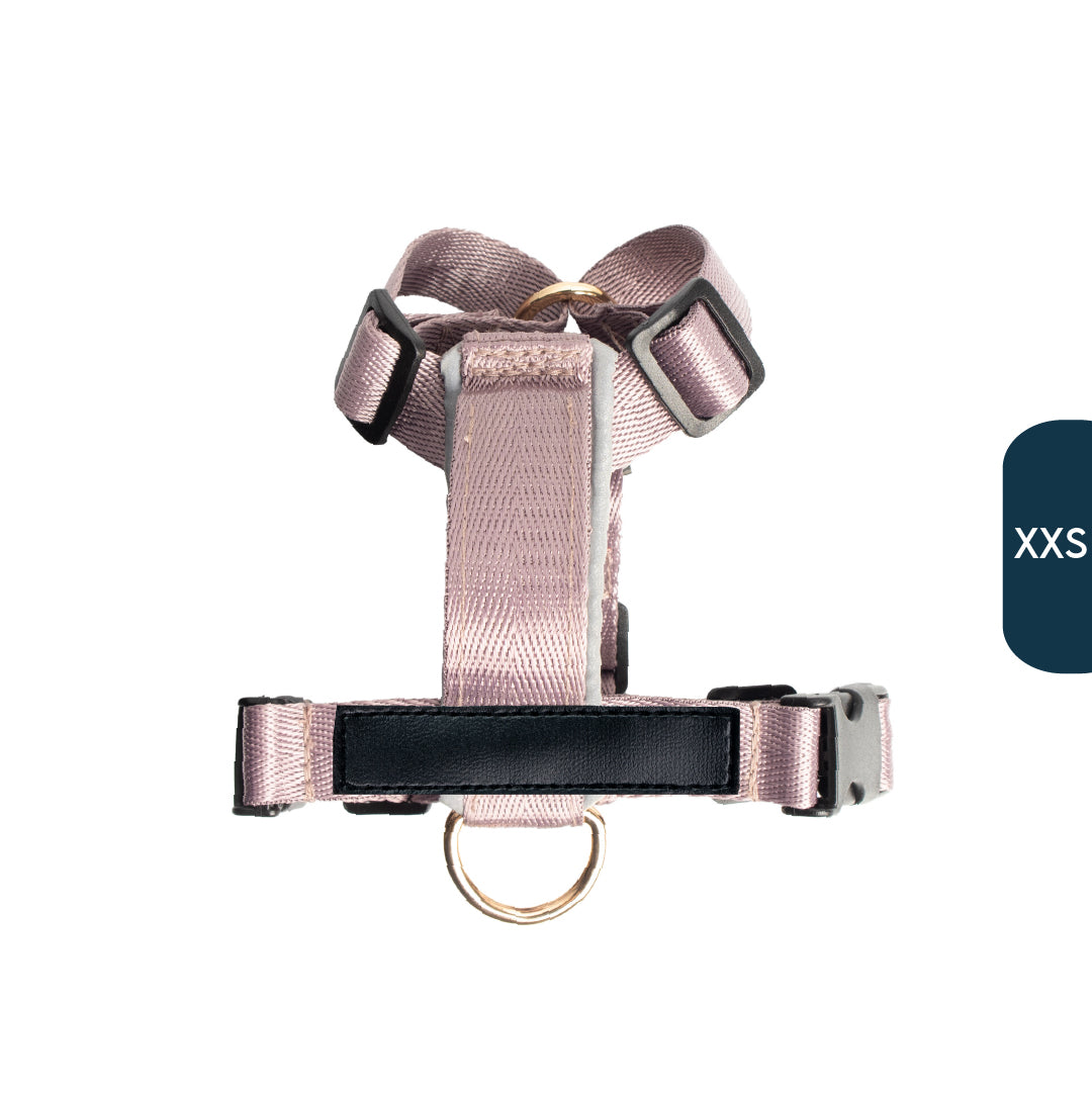 Arnés clásico - Lila