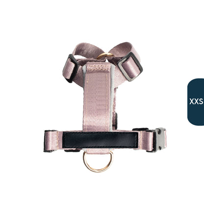 Arnés clásico - Lila