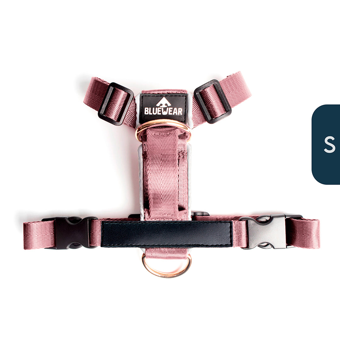 Arnés clásico - Lila