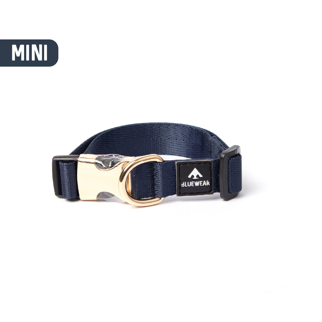 Collar light - Para perritos mini, toy o cachorros.