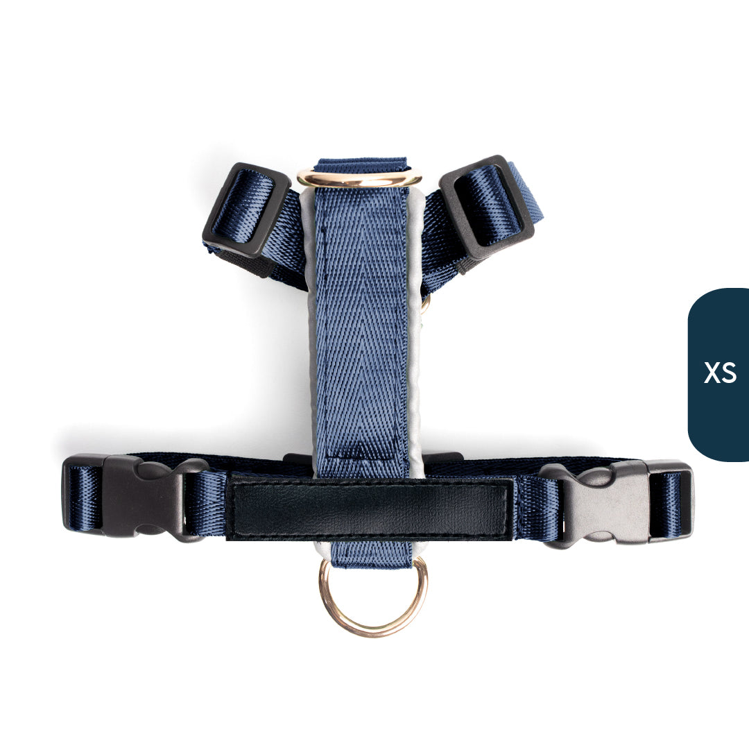 Arnés clásico - Azul Marino