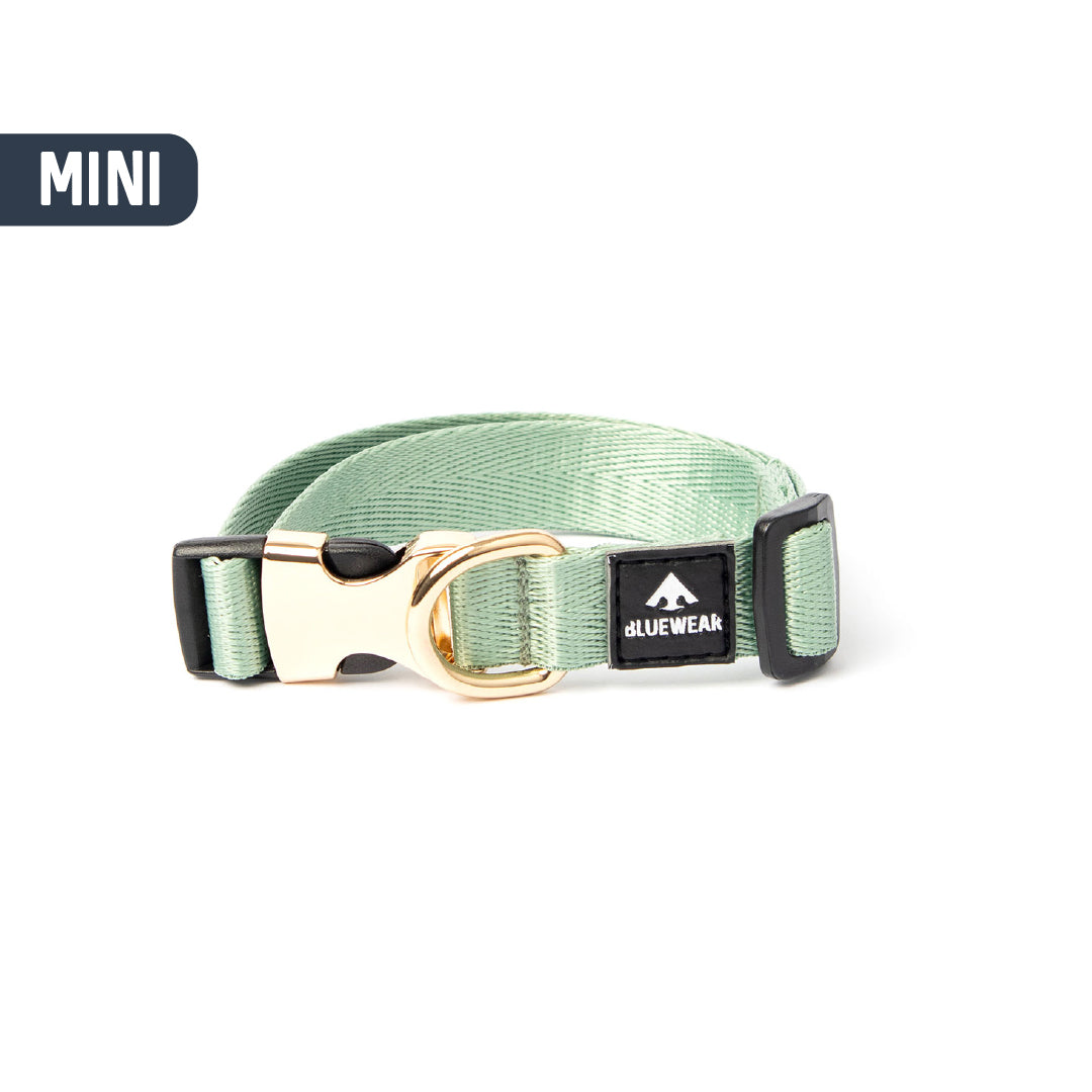 Collar light - Para perritos mini, toy o cachorros.