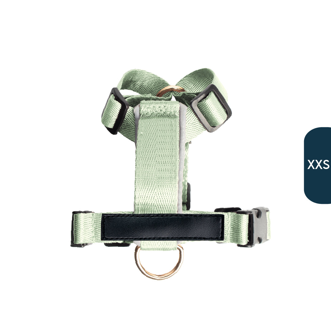 Arnés clásico - Menta