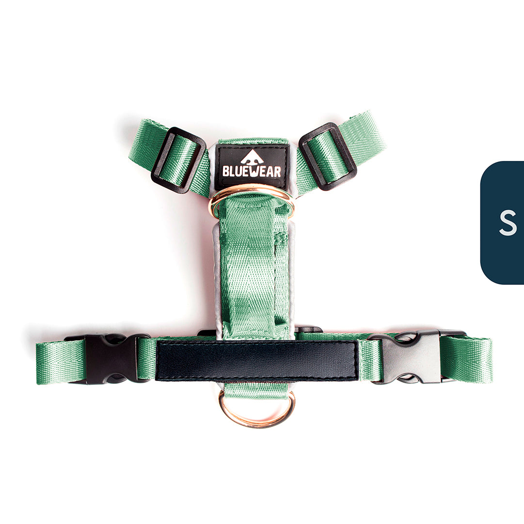 Arnés clásico - Menta