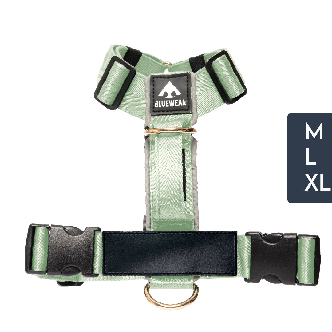 Arnés clásico - Menta