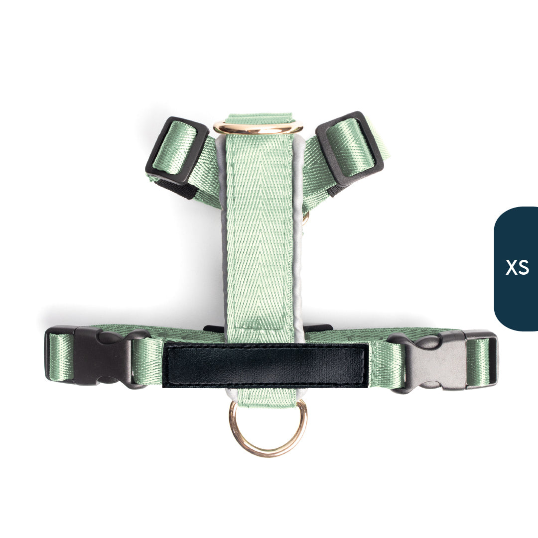Arnés clásico - Menta