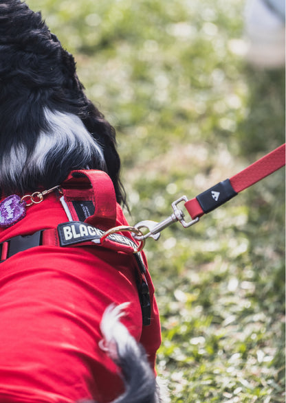 Correa larga impermeable -  Rojo