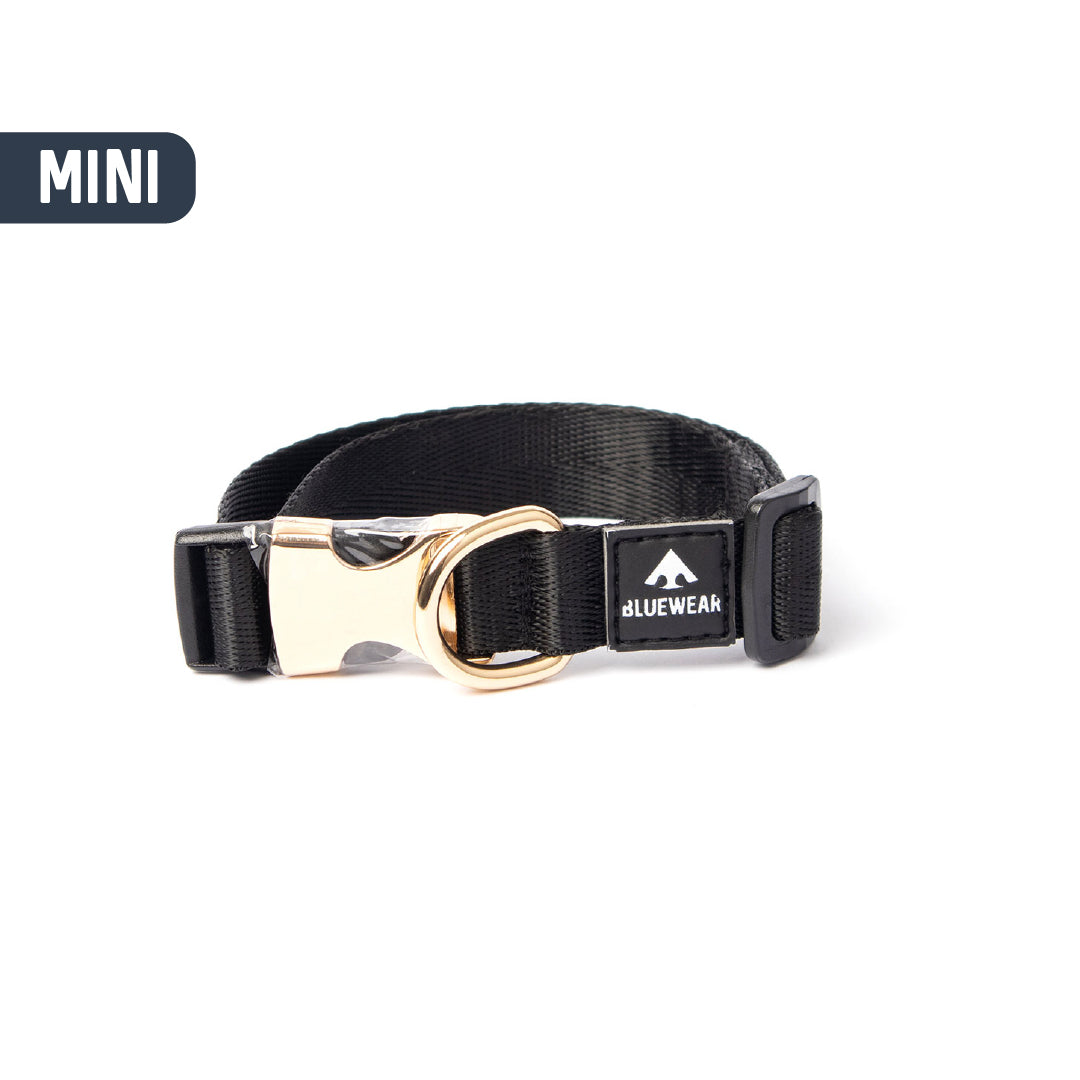 Collar light - Para perritos mini, toy o cachorros.