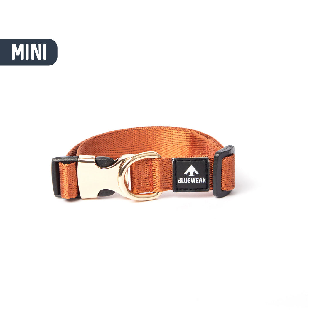 Collar light - Para perritos mini, toy o cachorros.