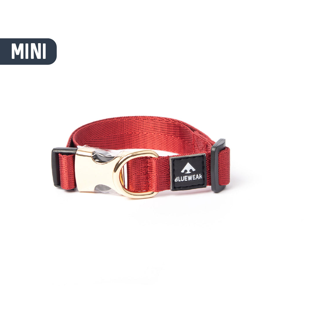 Collar light - Para perritos mini, toy o cachorros.