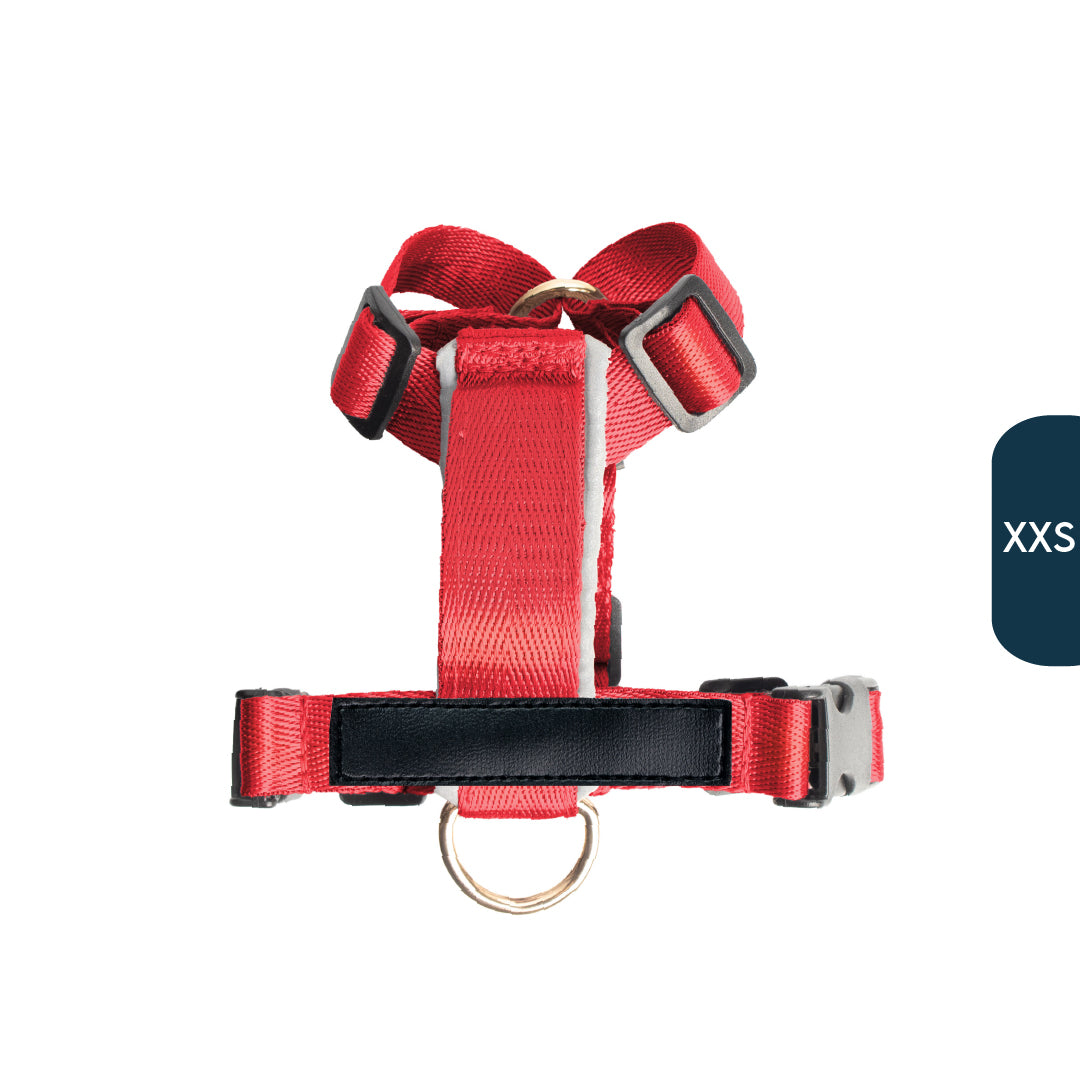 Arnés clásico - Rojo vino