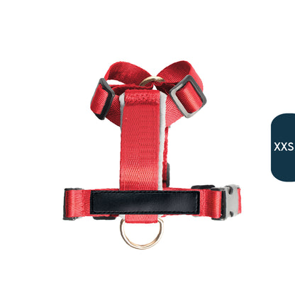 Arnés clásico - Rojo vino