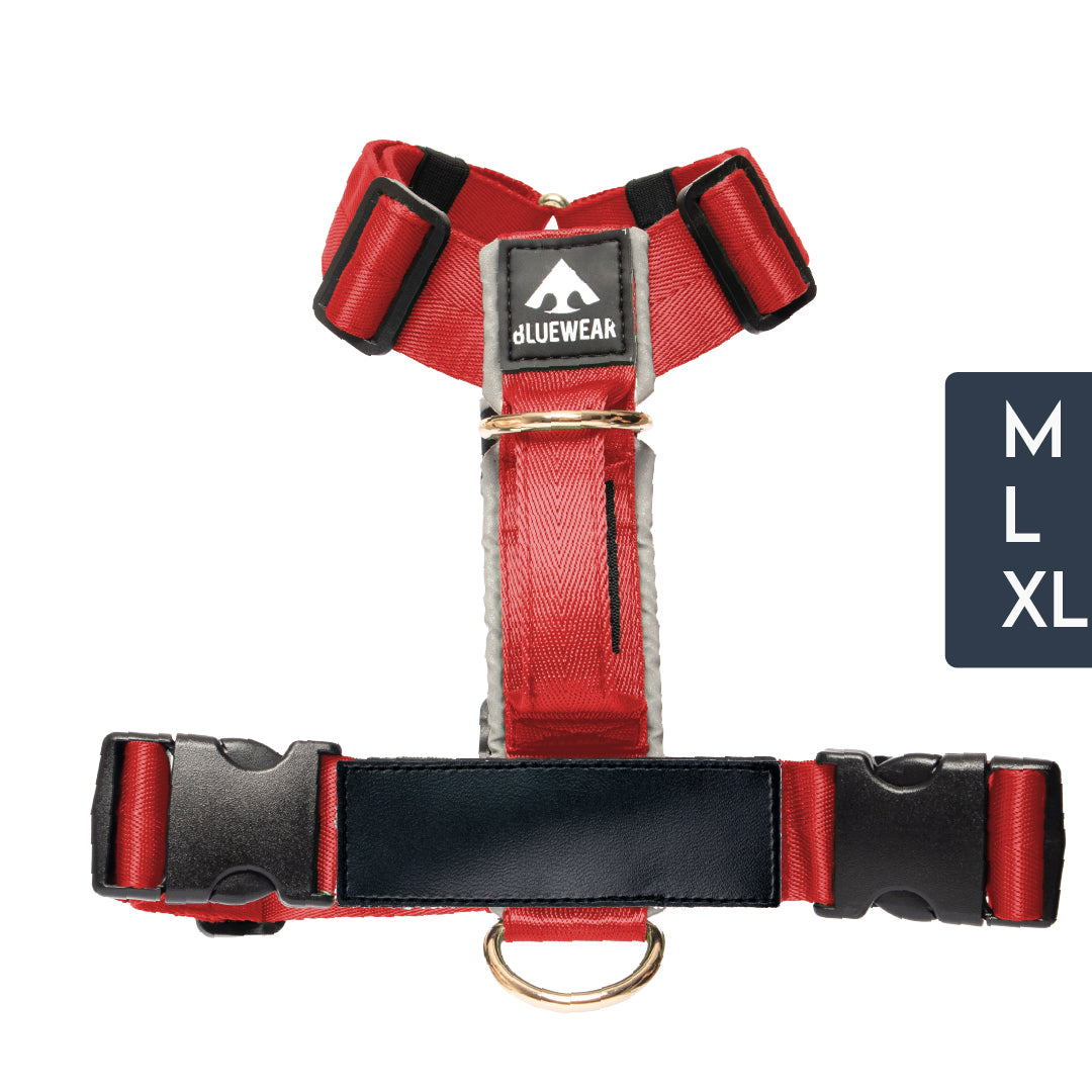 Arnés clásico - Rojo vino