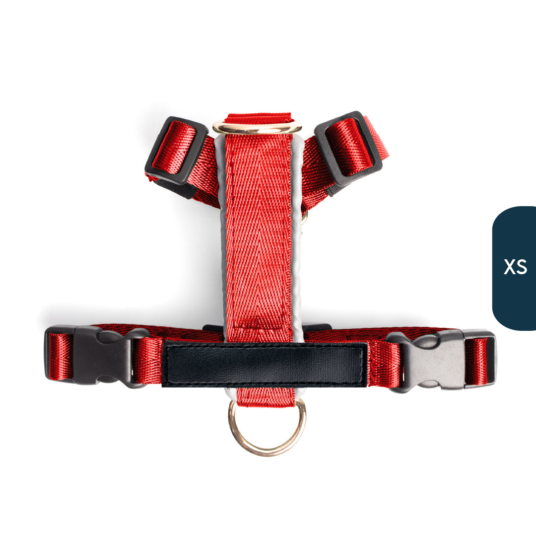 Arnés clásico - Rojo vino