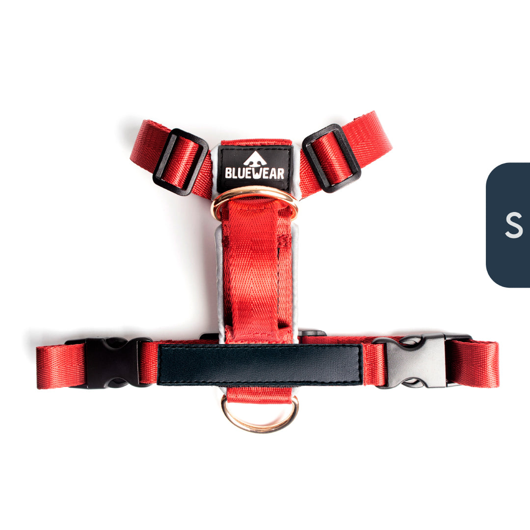 Arnés clásico - Rojo vino