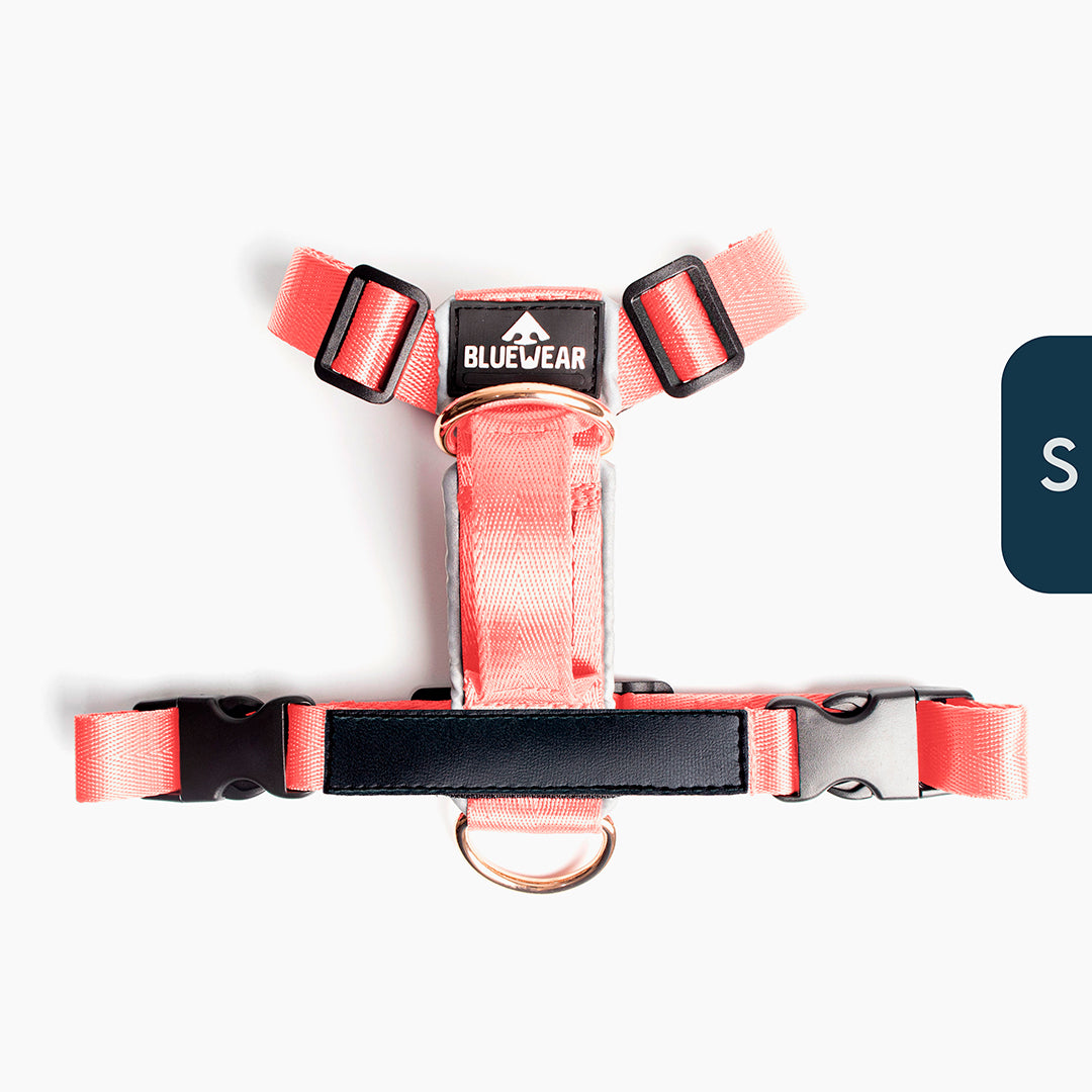 Arnés clásico - Rosa Barbie