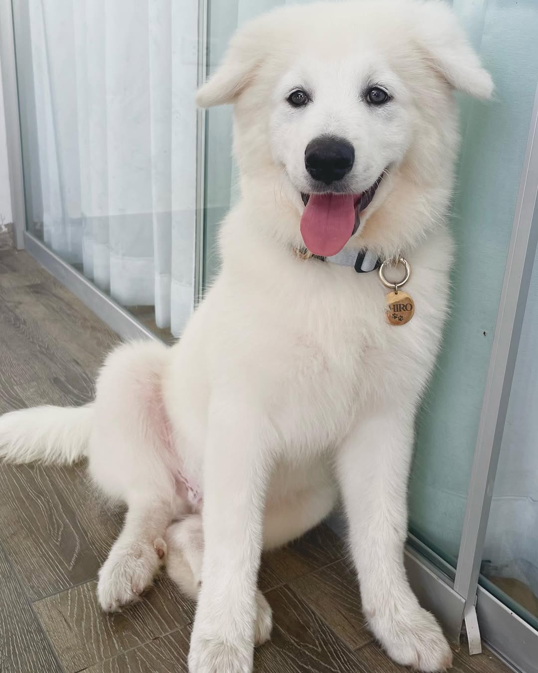 Plaquita de identificación - Colección Minimalista