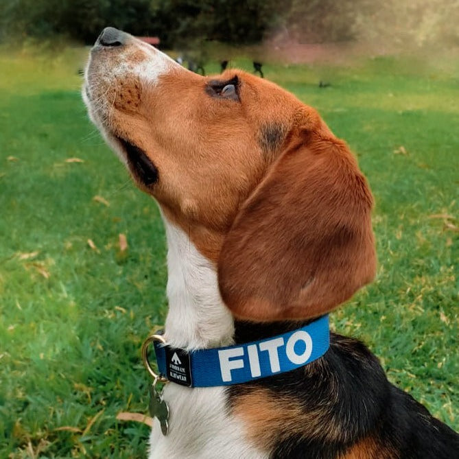 Collar delgado classic - Azul acero