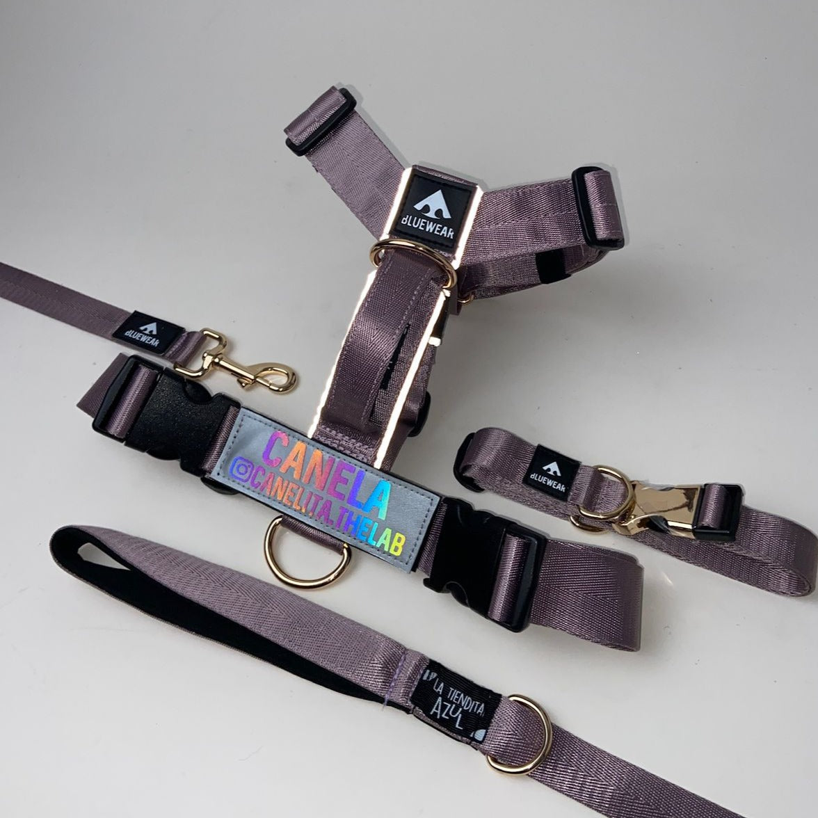 Arnés clásico - Lila