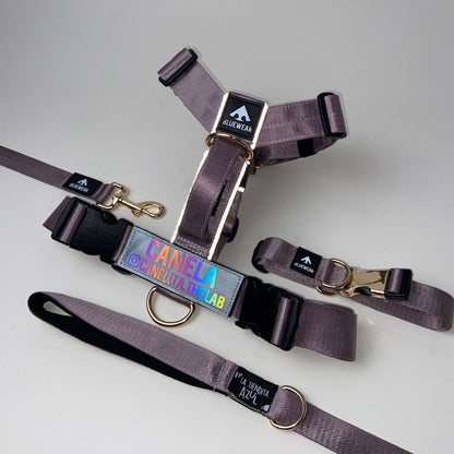 Arnés clásico - Lila