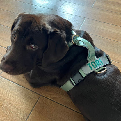 Arnés clásico - Menta