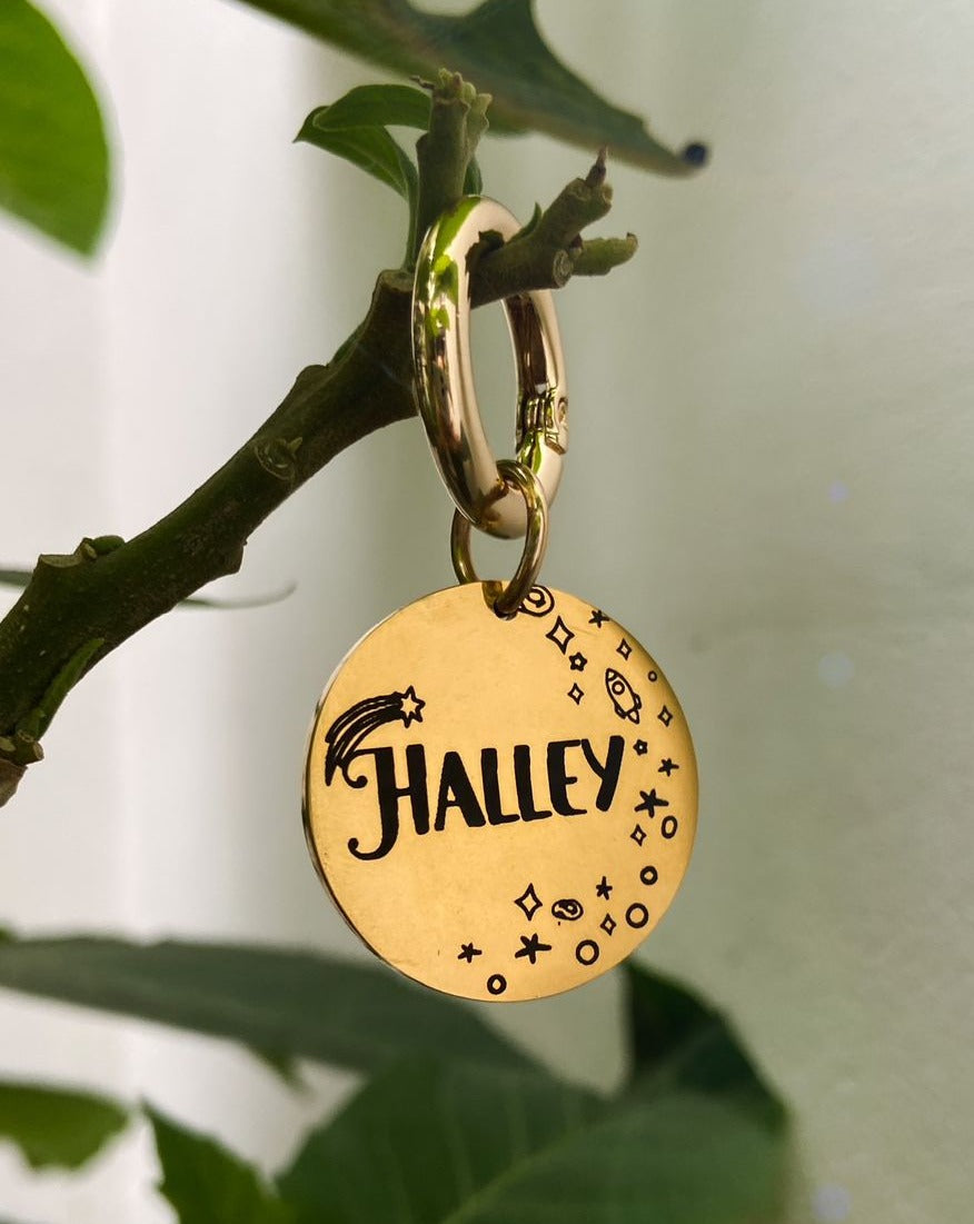 Plaquita de identificación  - Colección Astros y estrellas