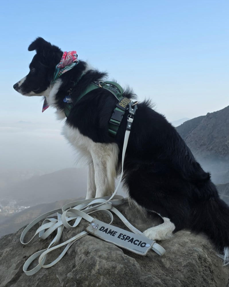 Correa larga impermeable - Humo