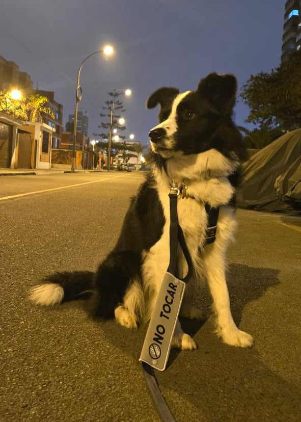 Manga personalizada para correa - Silver