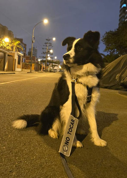 Manga personalizada para correa - Silver