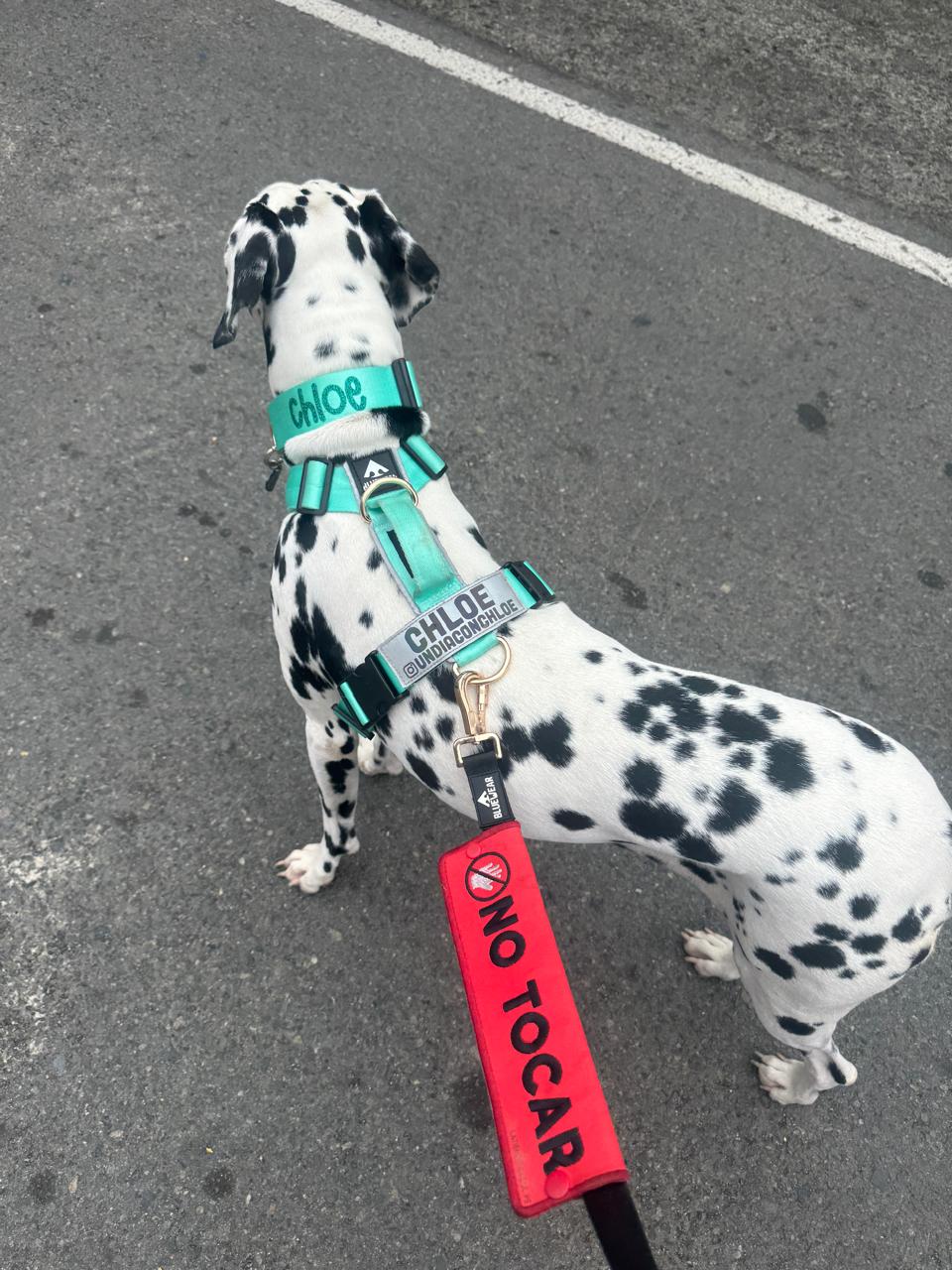 Manga personalizada para correa - Rojo