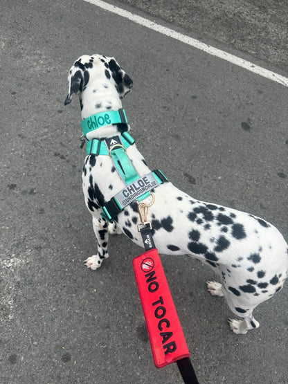 Manga personalizada para correa - Rojo