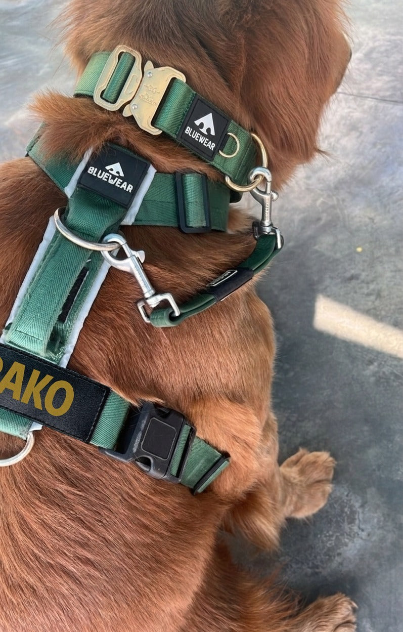 Conector antiescape para collar - arnés