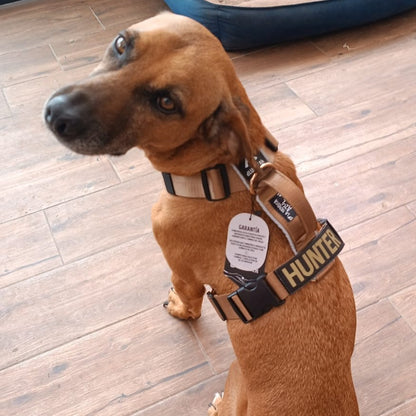 Arnés clásico - Marrón Metálico