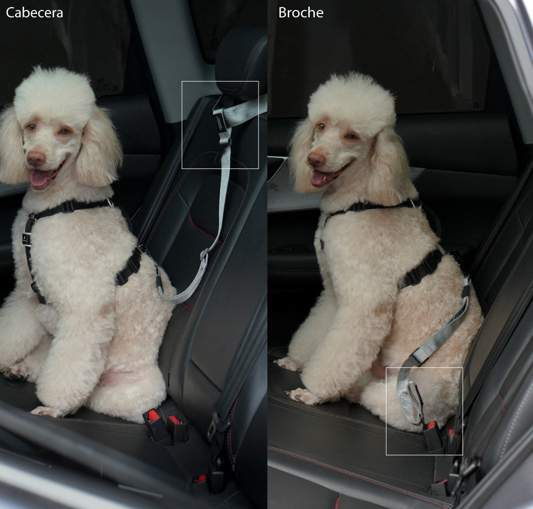 Cinturón de Seguridad para Perros 2 en 1 – Resistente y Ajustable