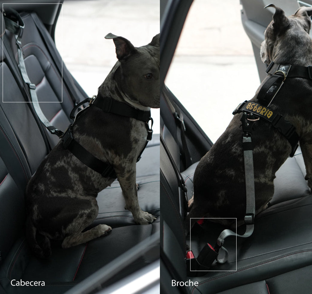 Cinturón de Seguridad para Perros 2 en 1 – Resistente y Ajustable
