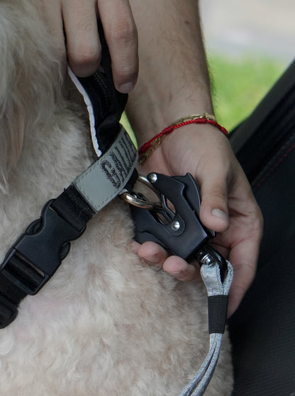 Cinturón de Seguridad para Perros 2 en 1 – Resistente y Ajustable