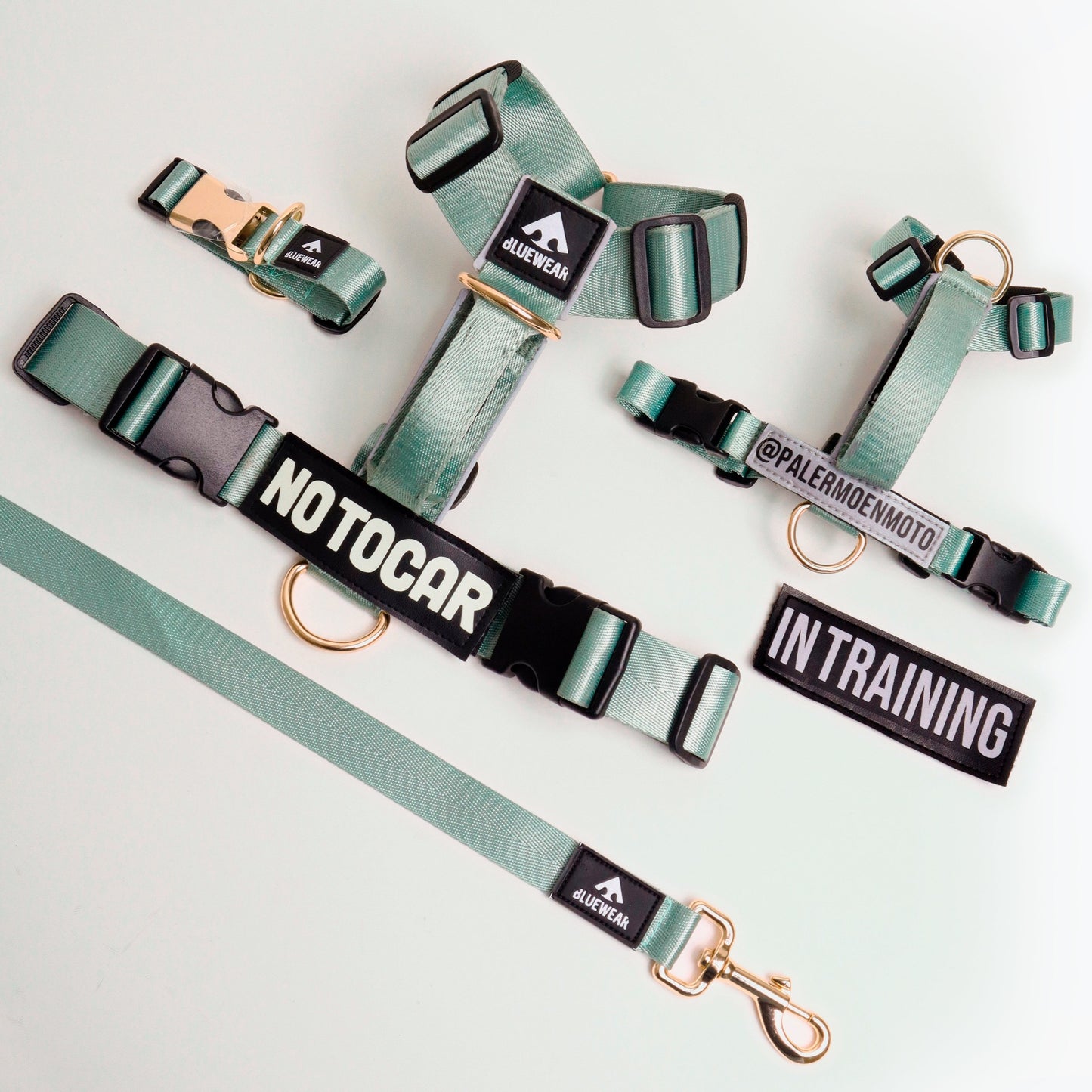 Arnés clásico - Menta