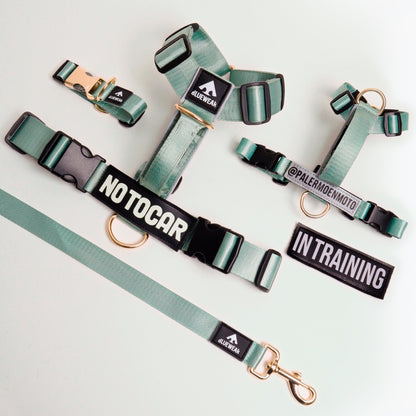 Arnés clásico - Menta