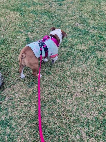 Correa larga impermeable - Fucsia