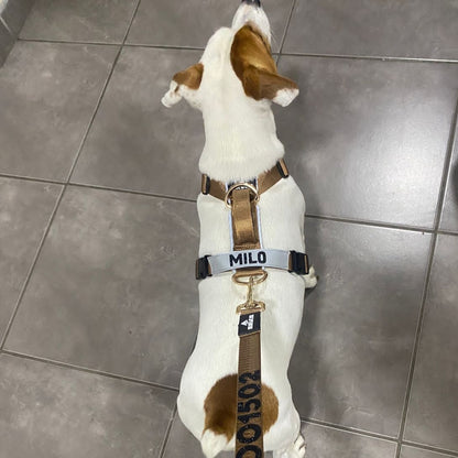 Arnés clásico - Marrón Metálico