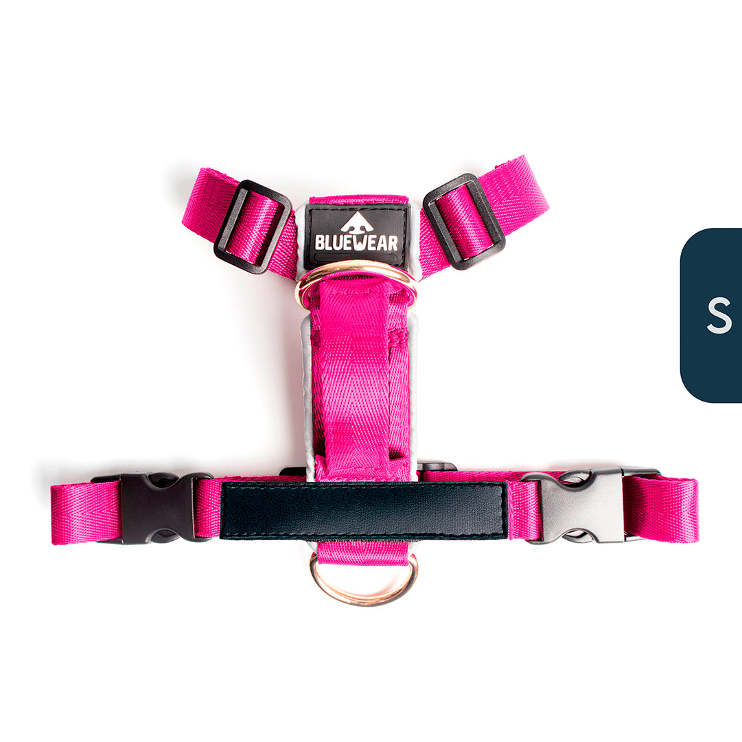 Arnés clásico - Fucsia