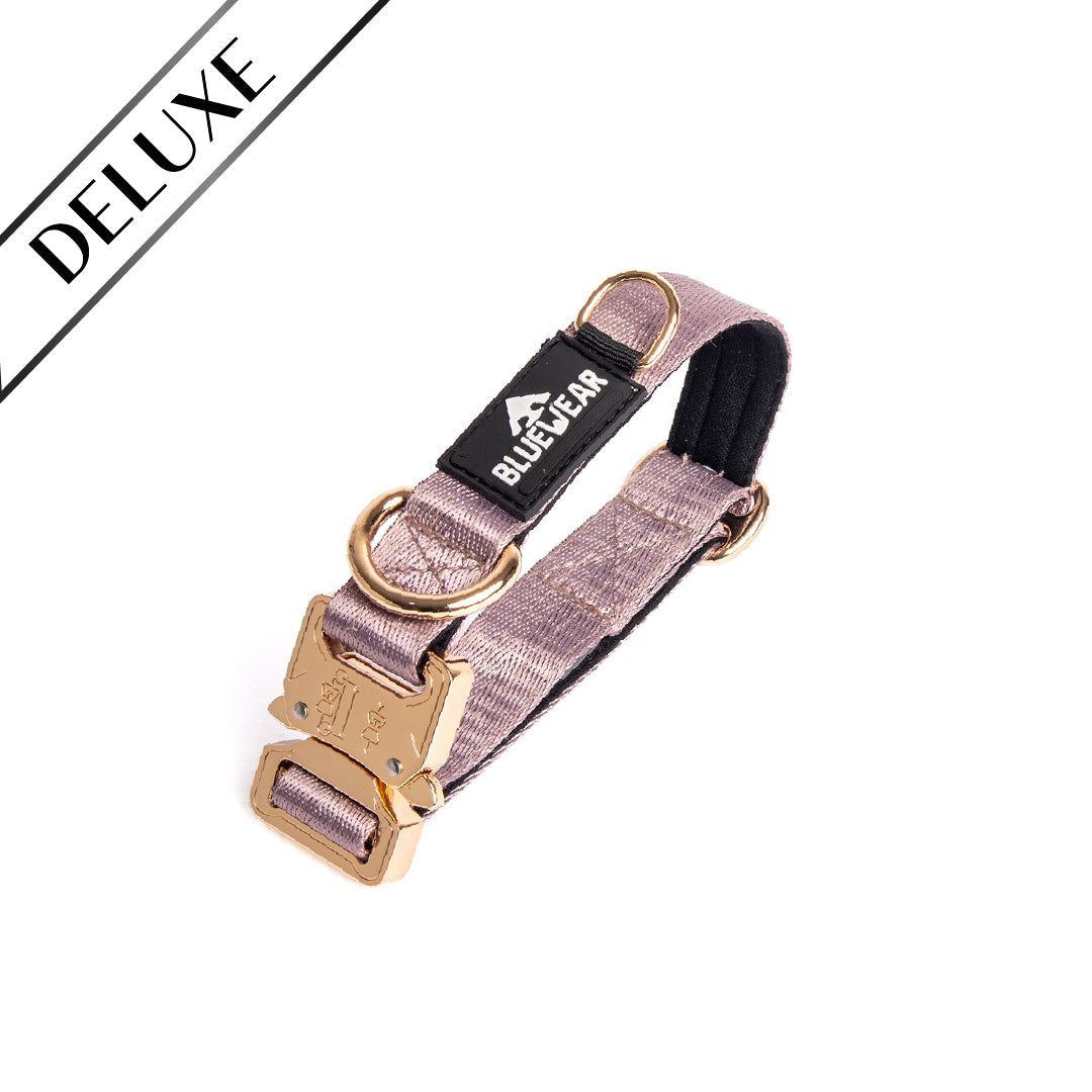 Collar Deluxe delgado - Lila